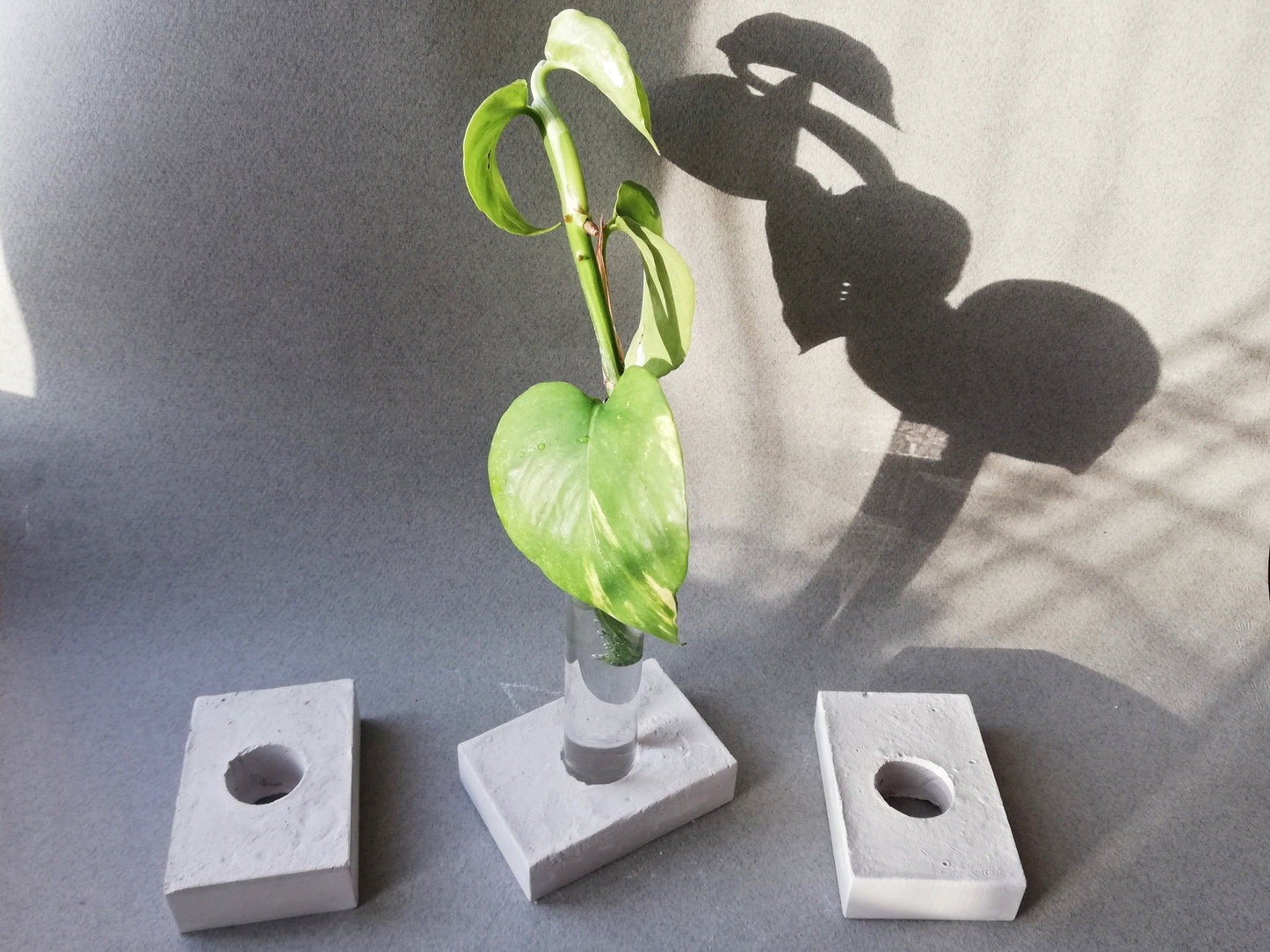 BATH SOAK // Plant propagation VASE with handmade base // set of THREE