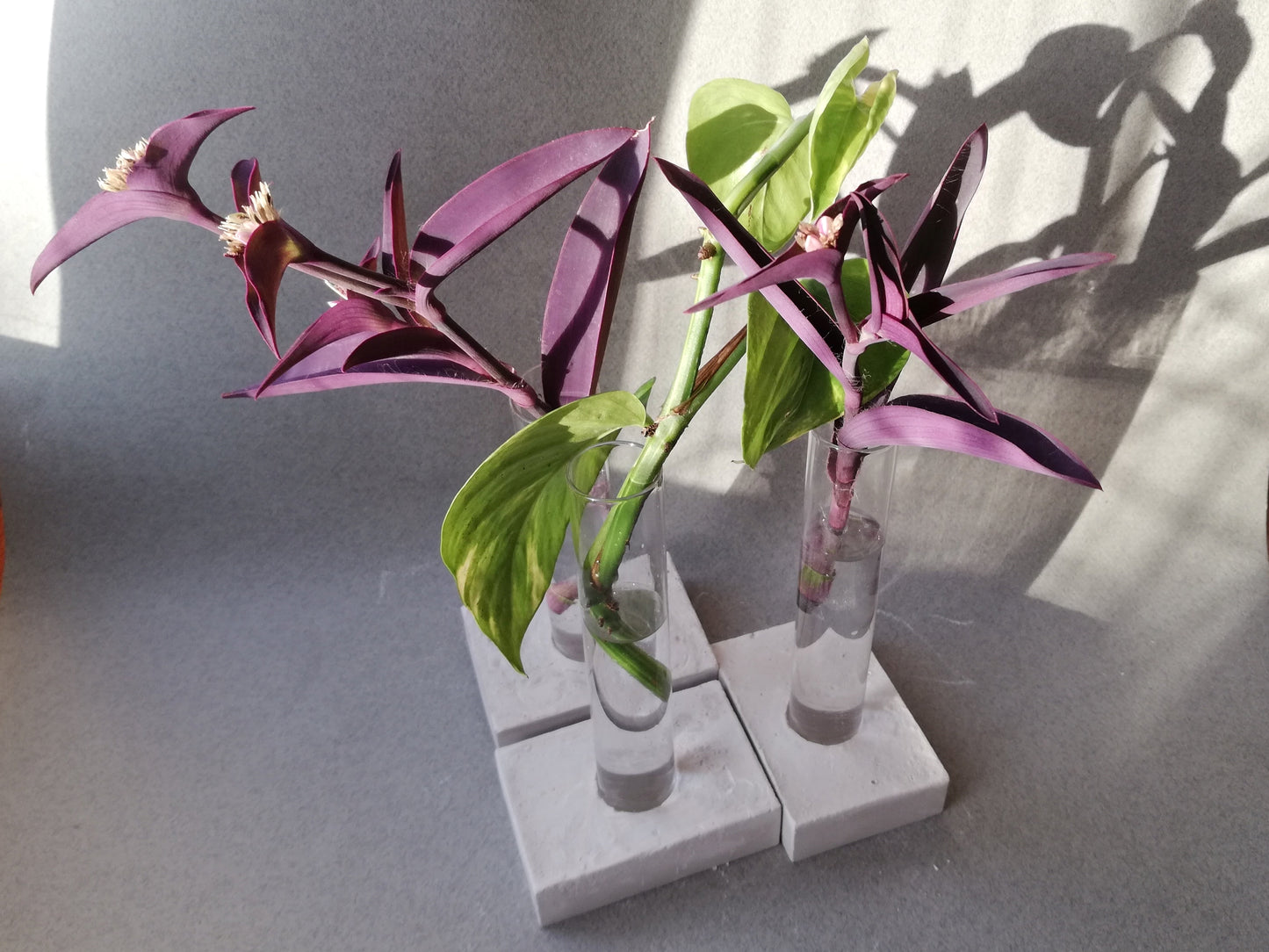 BATH SOAK // Plant propagation VASE with handmade base // set of THREE