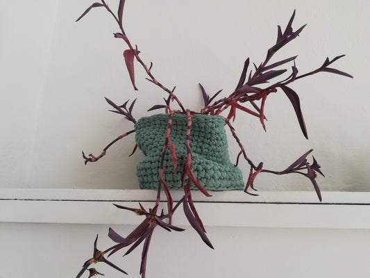 Crochet cotton basket // medium // mint green //LIMITED EDITION//